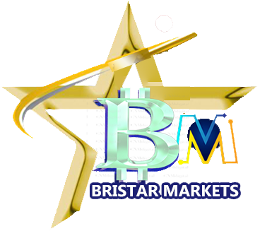 BriStar Markets Logo